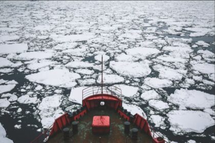 $2.2M Feasibility Study Launched for Subsea Cable Connecting Antarctica and Chile | Image Credit : quintillionglobal.com